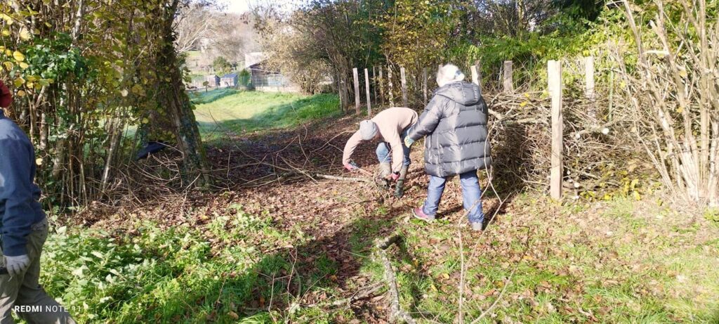 Agrandir l'image, fenêtre modale
