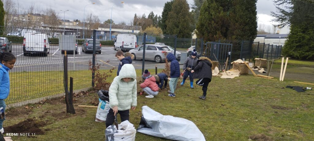 Agrandir l'image, fenêtre modale